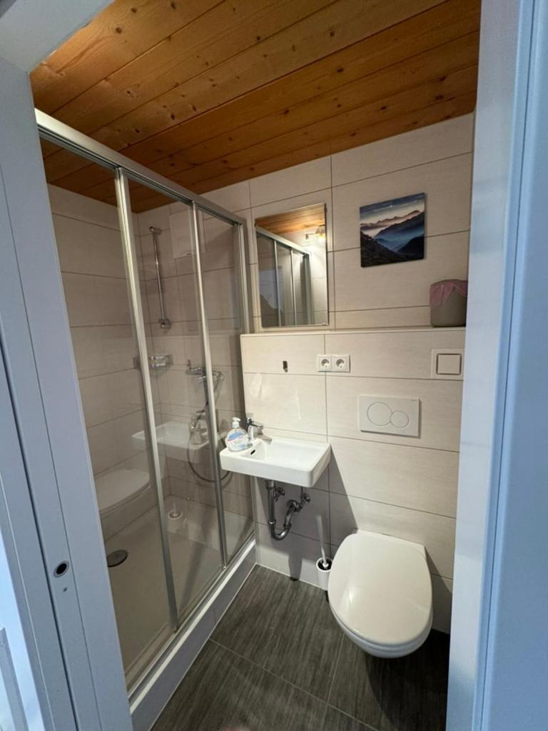 Go For Mountains Appartements Eben Im Pongau Eksteriør billede